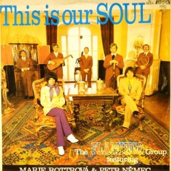 Пластинка Flamingo Group feat. Marie Rottrova & Petr Nemec This Is Our Soul